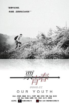 乞丐王子央视版完整版影视海报