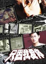 中村知惠个人资料影视海报