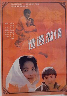 昆明到腾冲多少公里影视海报