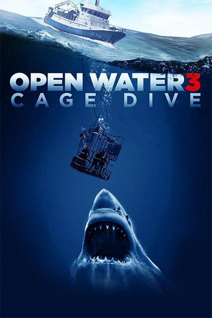 落花限制分级影视海报