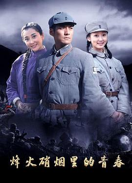 法与情影视海报