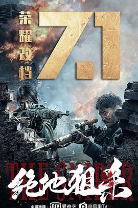 铁血玫瑰演员表影视海报