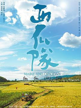 家有娇妻影视海报