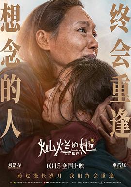 乡村风流寡妇影视海报