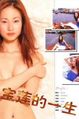 电视剧再婚进行时影视海报