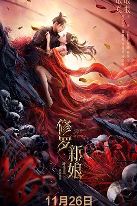 电视剧大管家影视海报