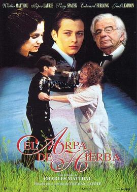 变形计17影视海报