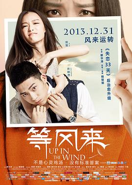 皇甫神医在线观看影视海报