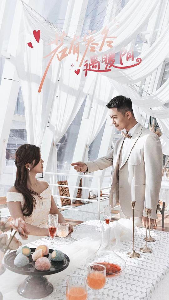 2013快乐男生影视海报