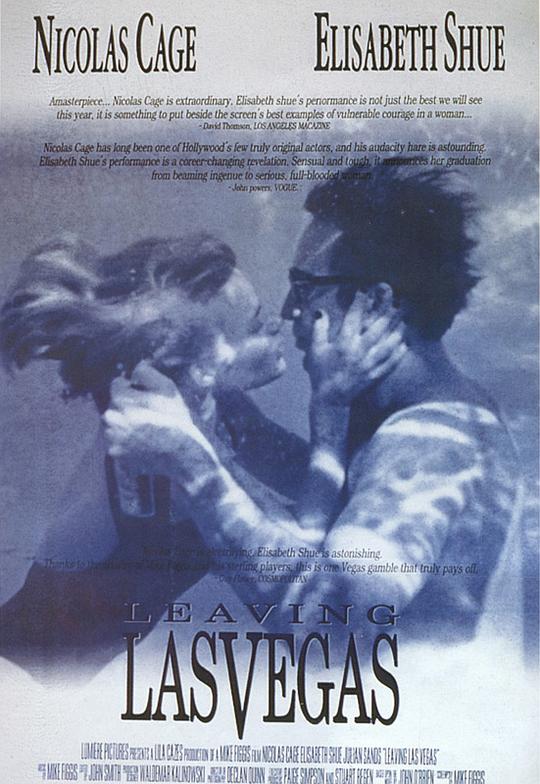 电视剧危机迷雾影视海报