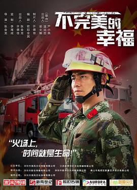 你是我想要的爱情txt影视海报