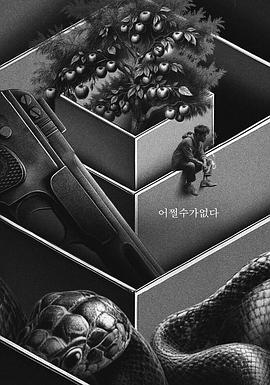 极速的浪漫青春影视海报