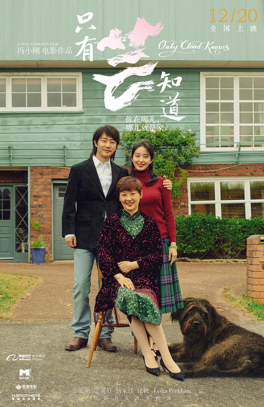 儿子上40岁老妈影视海报