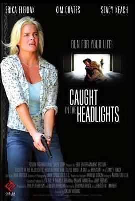 龙牌之谜高清在线影视海报