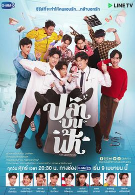 桜井心菜影视海报