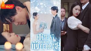 真月谭月姬影视海报