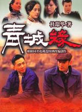 曾有你的天气影视海报