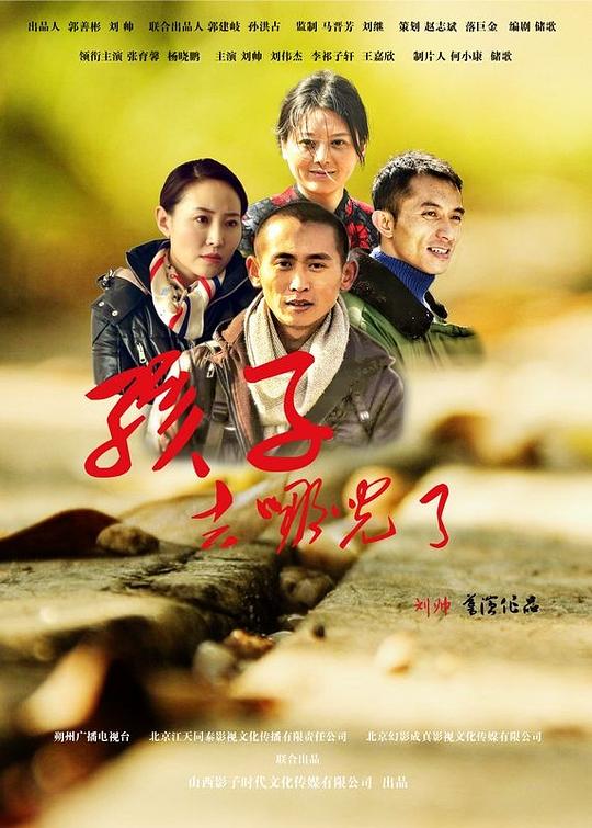 中华医药视频全集2018影视海报