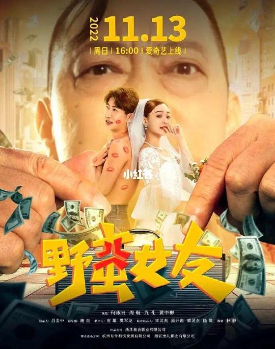 hairy pussy影视海报