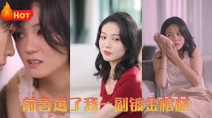 乡村爱情11手机免费版影视海报