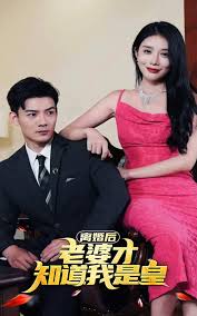 献妻张行长第三部影视海报