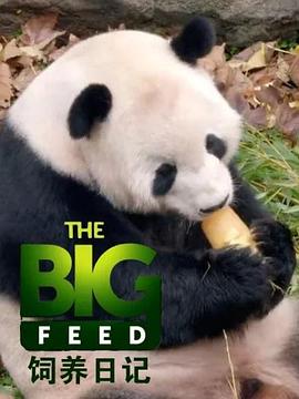 越狱第一季清在线观看影视海报