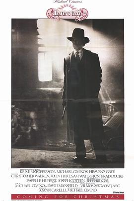 国语自产视频在线不卡影视海报