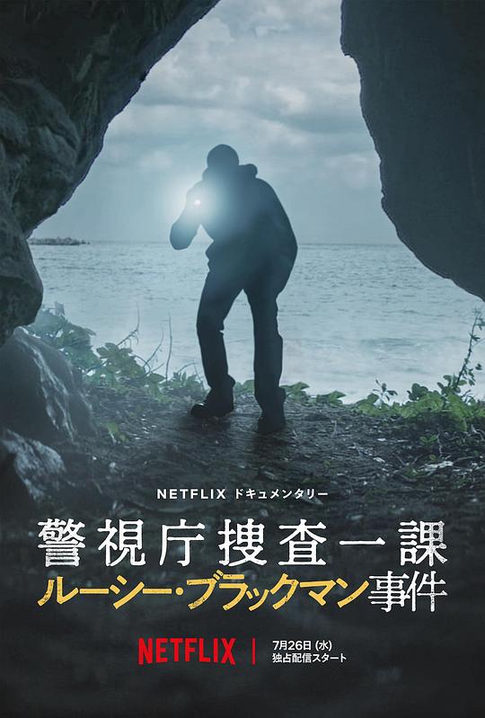 洗冤录2粤语影视海报