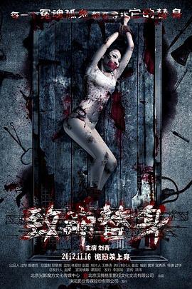 美妙旋律第一季影视海报