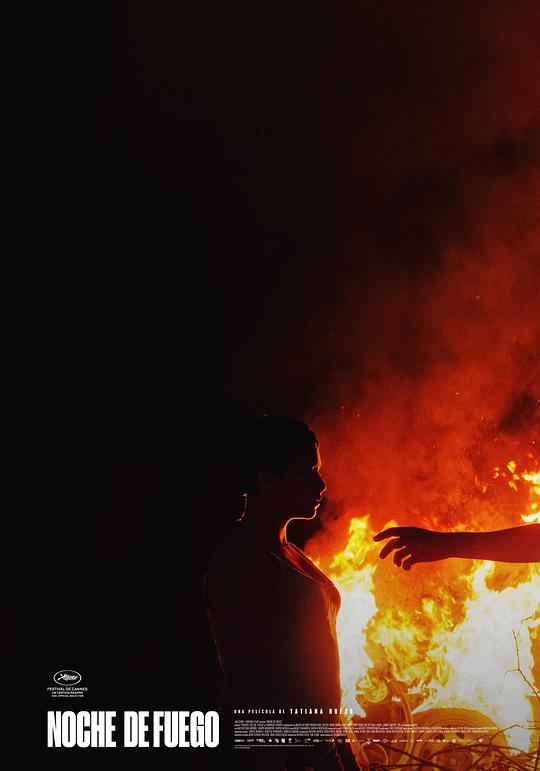 金梅完版免费观看国语版影视海报