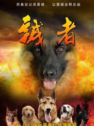 国产富二代无限国产影视海报