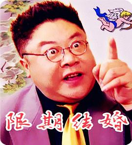 不要恋爱要结婚电视剧影视海报