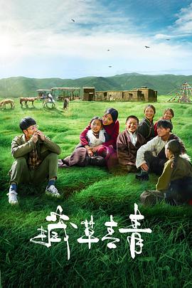 方大厨影视海报