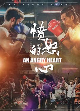 洪武大案电视剧影视海报