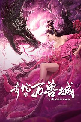 美丽的秘密剧情影视海报