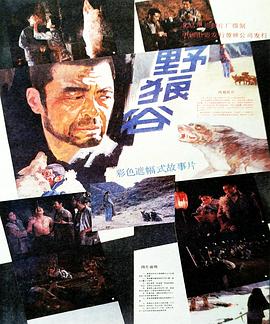 阻击手电视剧全集观看影视海报