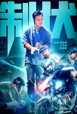 电视剧战火青春完整版影视海报