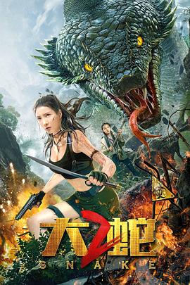 拳交女王周晓琳影视海报