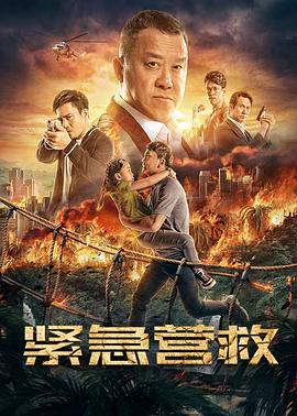 靳东简介影视海报