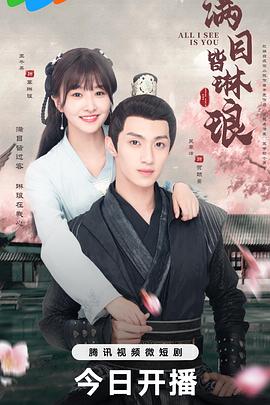 皇帝也风流影视海报