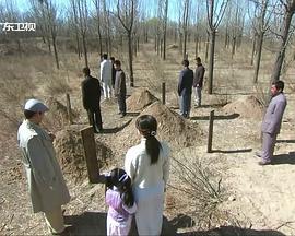 韩国女主播雪梨视频影视海报