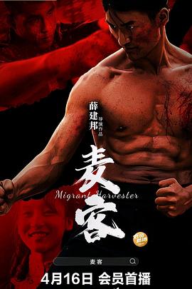 我和僵尸影视海报