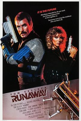 第二章公车之狼影视海报