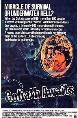 onepiece娜美黑条汉化影视海报