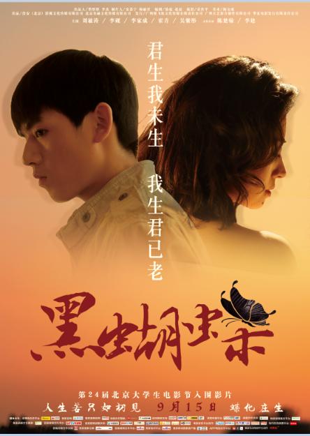 经济信息联播视频影视海报