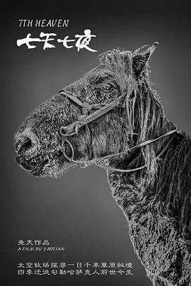 和后妈一起的日子小诚影视海报