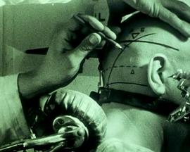 笨蛋英子小雄和莉颖影视海报