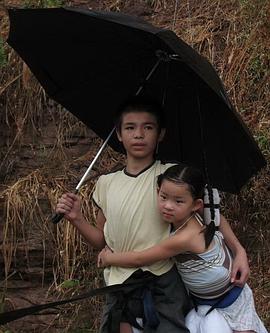 海贼王娜美同人漫画影视海报