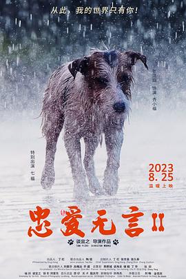 美国男女日b视频播放影视海报