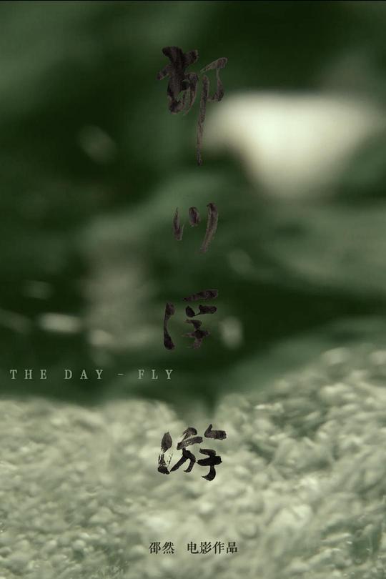 好看的网络剧推荐影视海报